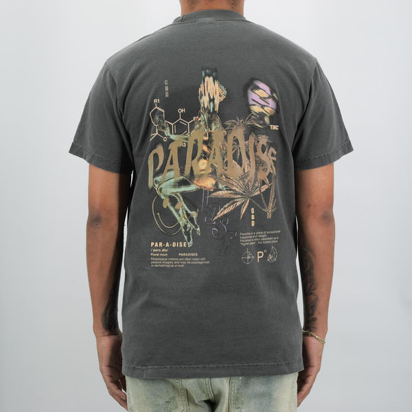 PARADISE LOST HIGHER PLACES PREM TEE (SHADOW)