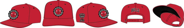 PRO STANDARD CHICAGO BULLS CREST EMBLEM WOOL SNAPBACK HAT (RED)