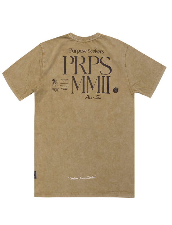 PRPS FIRE VALLEY TEE (CEMENT)