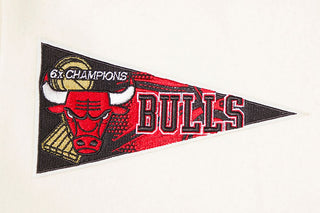 Pro Standard CHICAGO BULLS RETRO CLASSIC RIB WOOL VARSITY JACKET