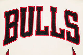 Pro Standard CHICAGO BULLS RETRO CLASSIC RIB WOOL VARSITY JACKET