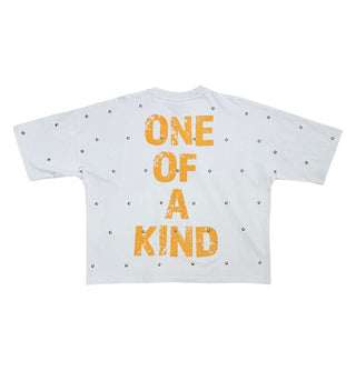 Stray One of a kind wide & crop fit tee (Light Grey)