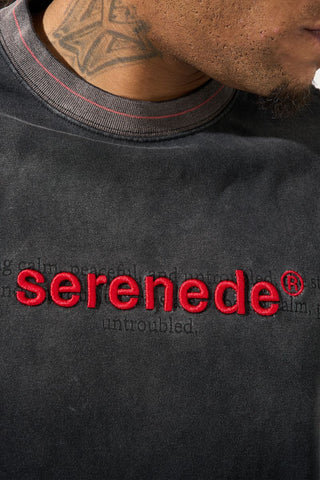 SERENEDE SKYLETTER Granite T-Shirt