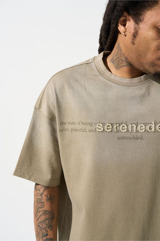 SERENEDE SKYLETTER Fog T-Shirt