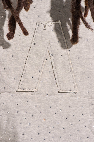 Aologne "SPOTLIGHT" HOODIE